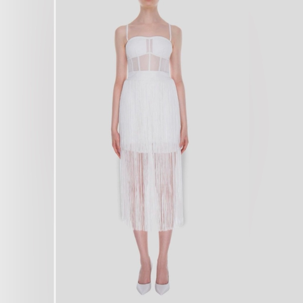 Herve Leger FRI8383851 Transparent Bustier Fringe Dress Size XS